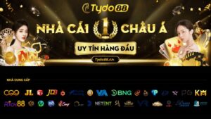 TYDO88 – Sân chơi chuyên nghiệp cho mọi bet thủ