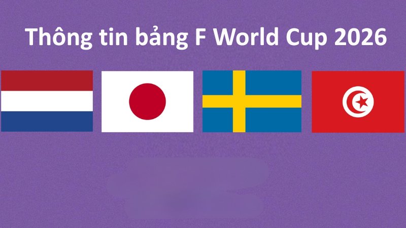 Thông tin bảng F World Cup 2026