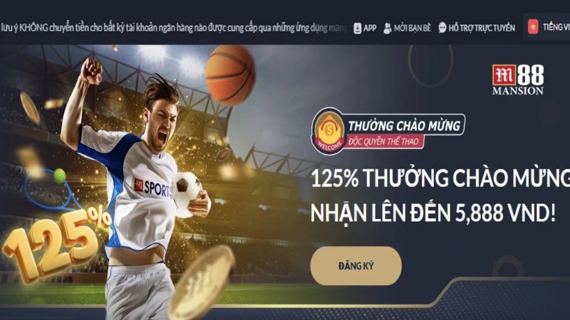 Các loại kèo thể thao phổ biến tại M88 và cách đọc hiệu quả