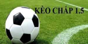 Kèo Chấp 1.5 Là Gì? Cẩm Nang Soi Kèo A-Z