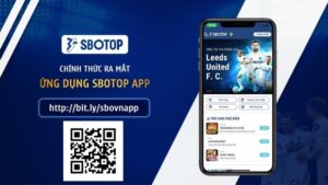 SBOTOP - Nhà Cái Cá Cược Thể Thao Hàng Đầu Châu Á 2026