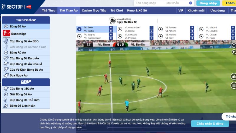 Thể thao ảo (Virtual Sports)